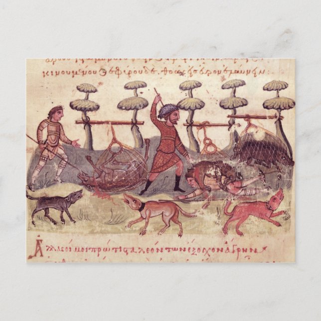 Jagd auf Netze Postkarte (Vorderseite)