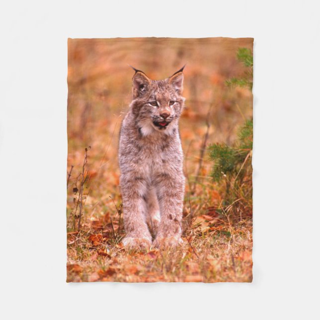 Jagd auf Rotluchs | Herbstwald Fleecedecke (Vorderseite)