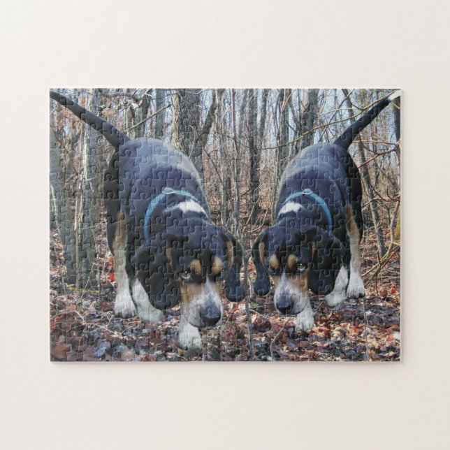 Jagd-Beagles (Horizontal)