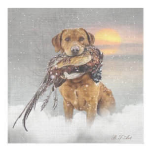 Jagd Fasan im Winter Wandteppich Plexiglas Fotodruck