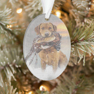 Jagd Fasan im Winter Wandteppich Plexiglas Ornament