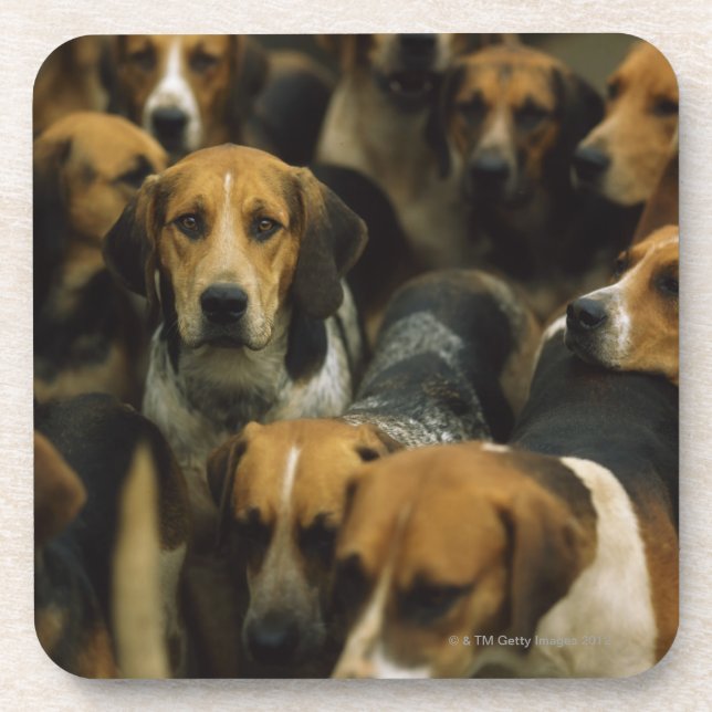 Jagd Foxhounds, Galway-Blazer, Irland Getränkeuntersetzer (Vorderseite)