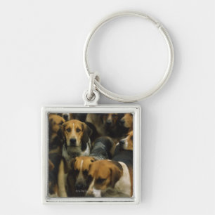 Jagd Foxhounds, Galway-Blazer, Irland Schlüsselanhänger