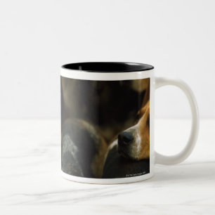 Jagd Foxhounds, Galway-Blazer, Irland Zweifarbige Tasse