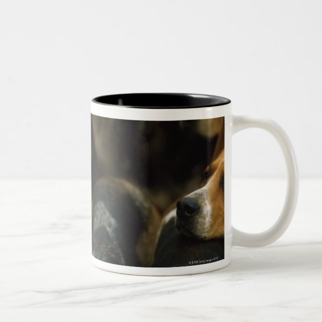 Jagd Foxhounds, Galway-Blazer, Irland Zweifarbige Tasse (Rechts)