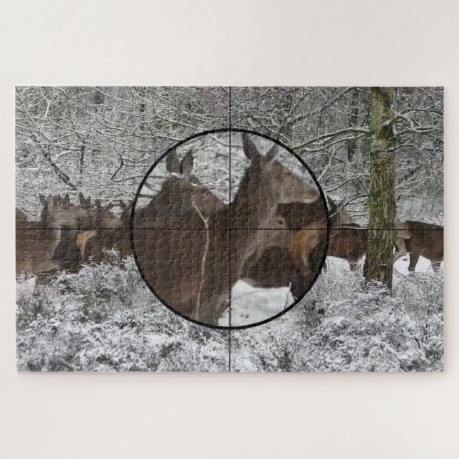 Jagd Kuh Elch Scope Blick Winterwald (Horizontal)