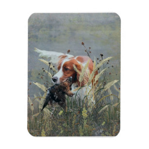 Jagd mit Epagneul Breton Magnet