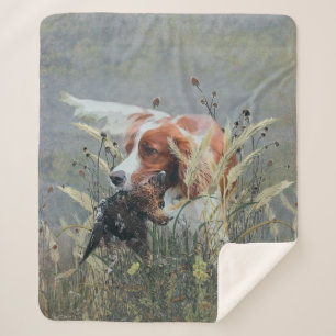 Jagd mit Epagneul Breton Sherpadecke