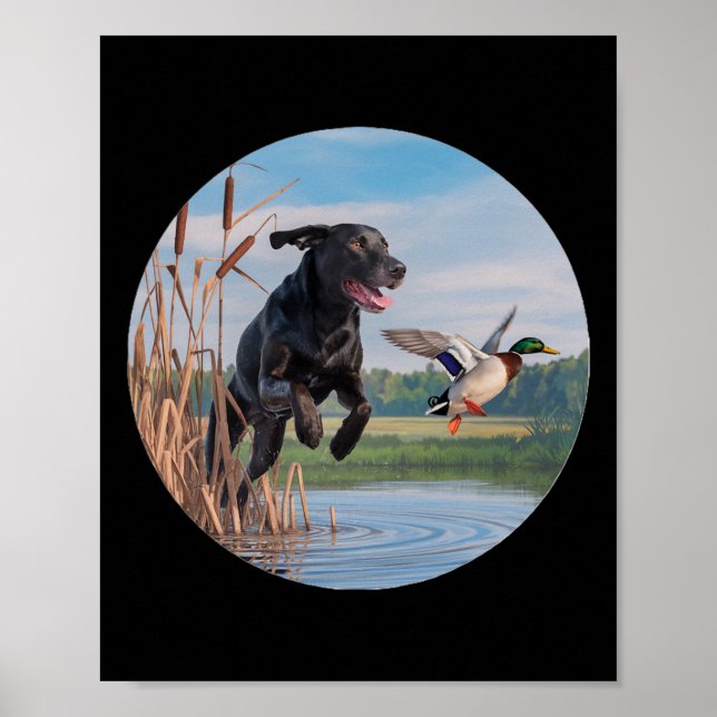 Jagd Schwarzer Labrador Labrador Hunde Jagd Enten. Poster (Vorne)