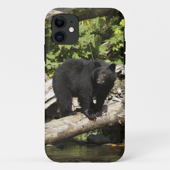 Jagd Wilder Schwarzer Bär Wildlife Foto Case-Mate iPhone Hülle (Rückseite)