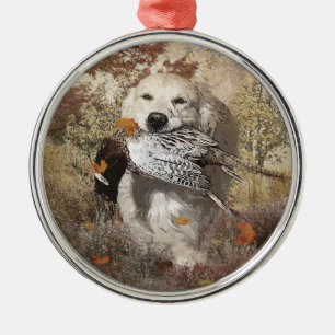 Jagdfasan, Plexiglas-Plakat, Acryldruck Ornament Aus Metall
