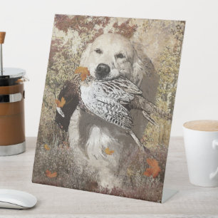 Jagdfasan, Plexiglas-Plakat, Acryldruck Sockelschild