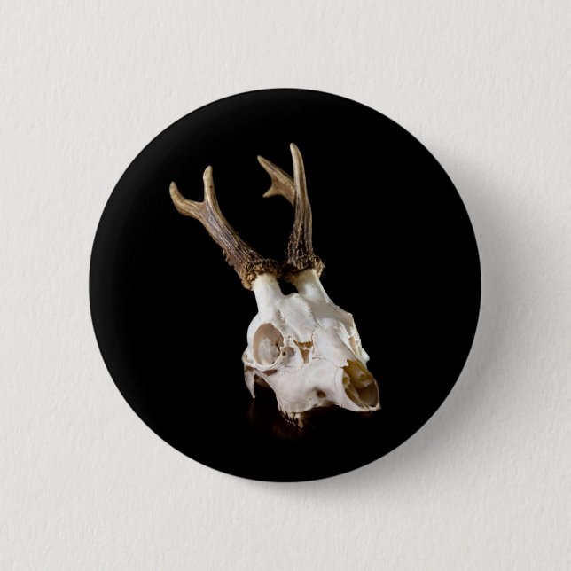 Jagdgeschichten! Button (Vorderseite)