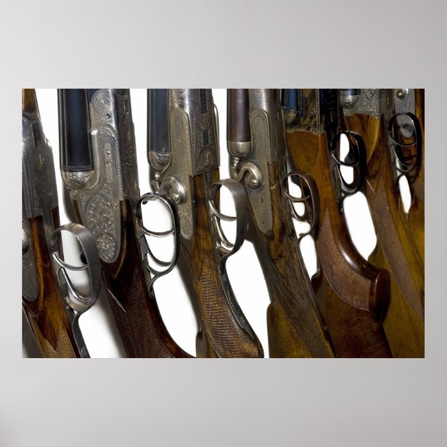 Jagdgewehre Poster (Vorne)