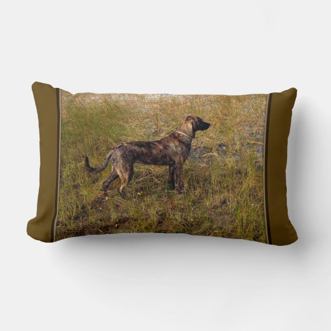 Jagdplanke Hound Kissen Kissen (Vorderseite)
