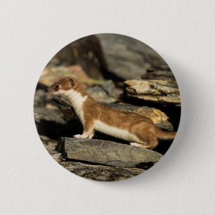 Jagdschaf Button