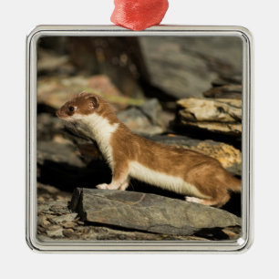 Jagdschaf Ornament Aus Metall