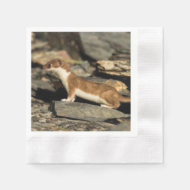 Jagdschaf Serviette (Vorderseite)