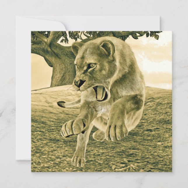 Jagdschlösser (Vorderseite)