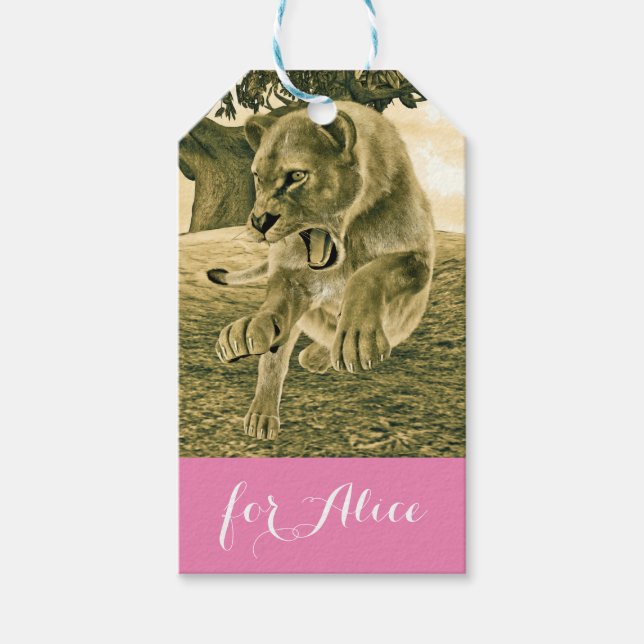 Jagdschlösser Geschenkanhänger (Vorderseite)