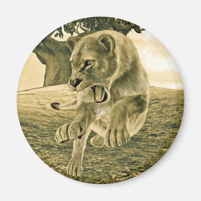 Jagdschlösser Magnet (Vorne)
