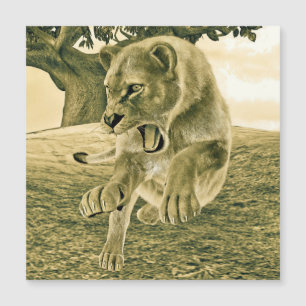 Jagdschlösser Magnetkarte