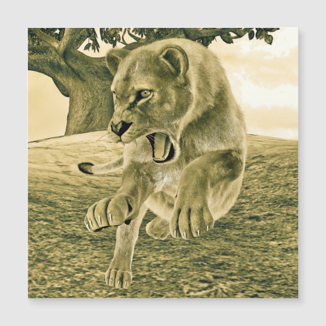 Jagdschlösser Magnetkarte (Vorderseite)