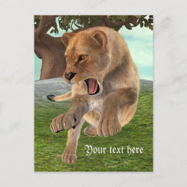 Jagdschlösser Postkarte