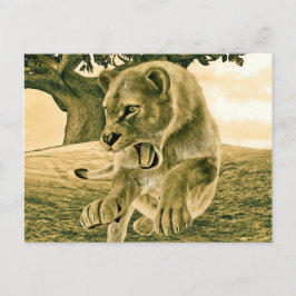 Jagdschlösser Postkarte