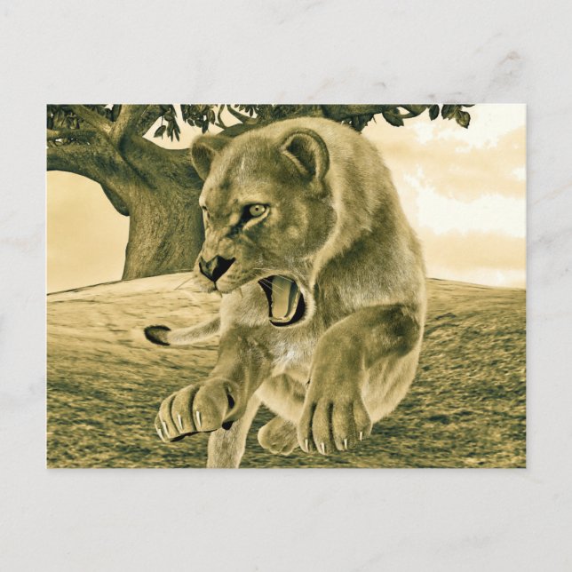 Jagdschlösser Postkarte (Vorderseite)