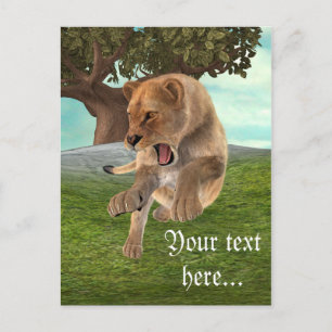 Jagdschlösser Postkarte