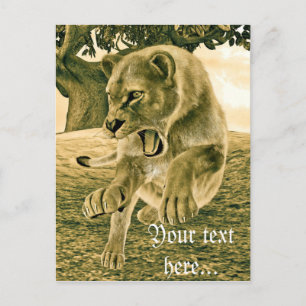Jagdschlösser Postkarte