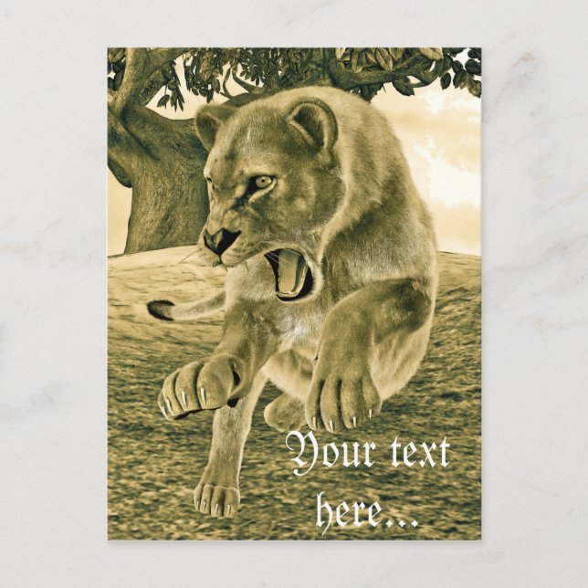 Jagdschlösser Postkarte (Vorderseite)