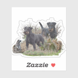 Jagdterer , Bo gegen Renbrad Kennel.'' Aufkleber