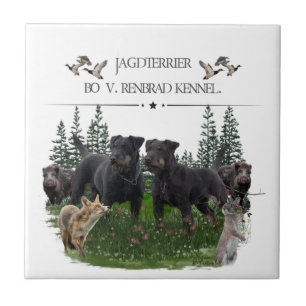 Jagdterer Bo gegen Renbrad Kennel. HP Notebook-Ski Fliese