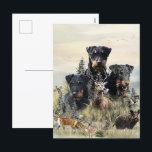 Jagdterers / Renbrad Kennel Feiertagspostkarte<br><div class="desc">Jagdterers / Renbrad Kennel</div>