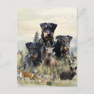 Jagdterers / Renbrad Kennel Postkarte