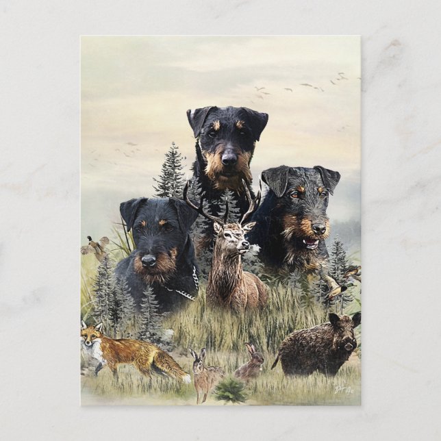 Jagdterers / Renbrad Kennel Postkarte (Vorderseite)