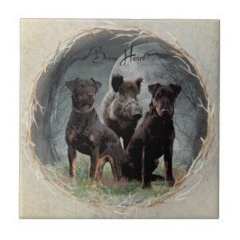 Jagdterre , tapferes Plexiglas Fliese