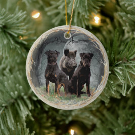 Jagdterre , tapferes Plexiglas Keramik Ornament