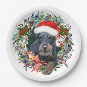 Jagdterry, Frohe Weihnachten Pappteller