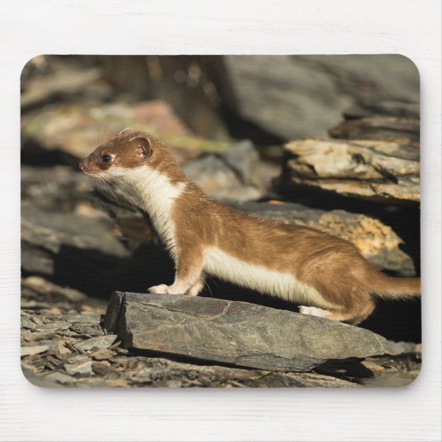 JagdWeasel Mousepad (Vorne)