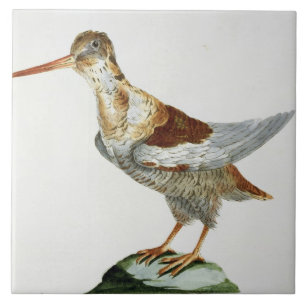 Jagen Sie, c.1767-76 Schnepfen (Hand farbiger Fliese
