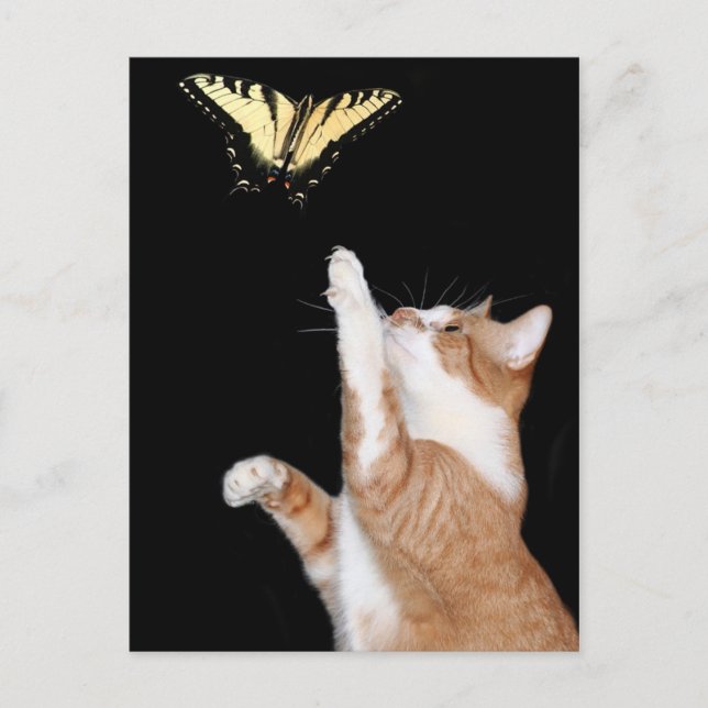 jagen Sie Ihren Traum Postkarte (Vorderseite)