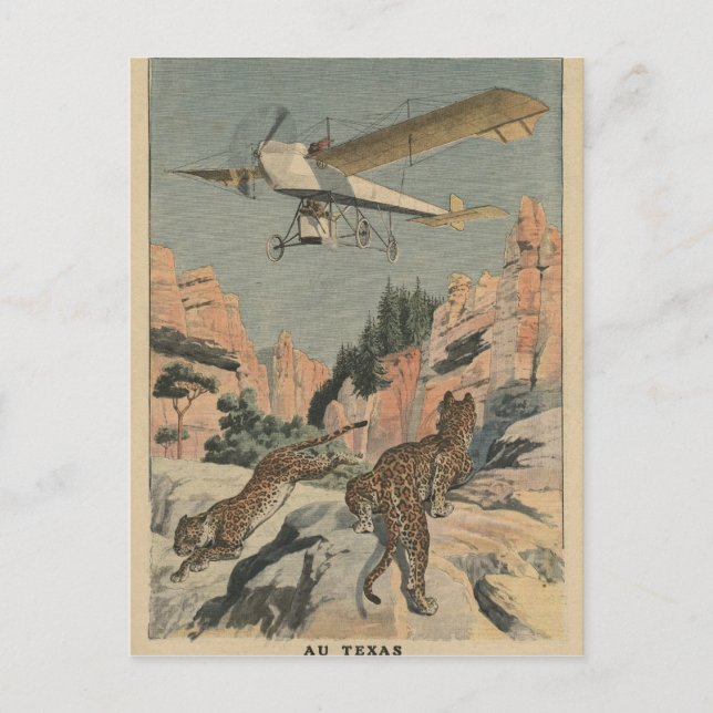 Jäger aus einem Flugzeug in Texas Postkarte (Vorderseite)