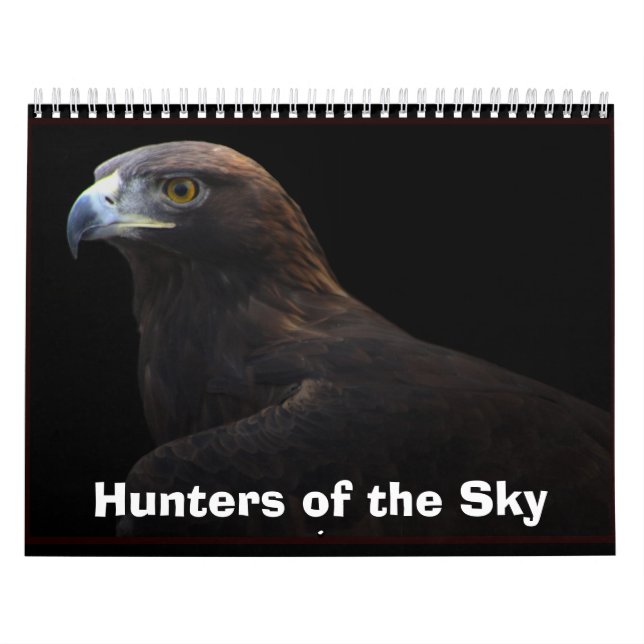 Jäger des Himmels Kalender (Titelbild)