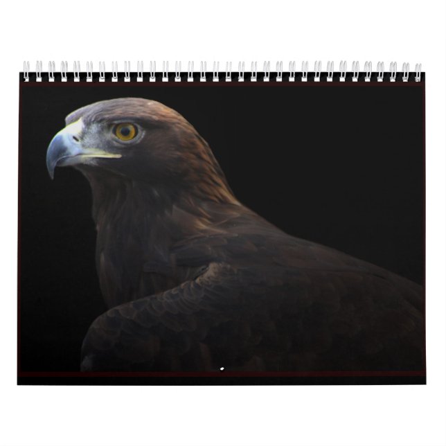 Jäger des Kalenders des Himmels 2014 Kalender (Titelbild)