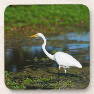 Jäger Egret Getränkeuntersetzer