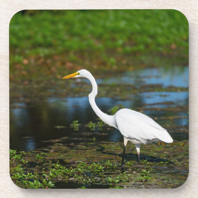 Jäger Egret Getränkeuntersetzer (Vorderseite)