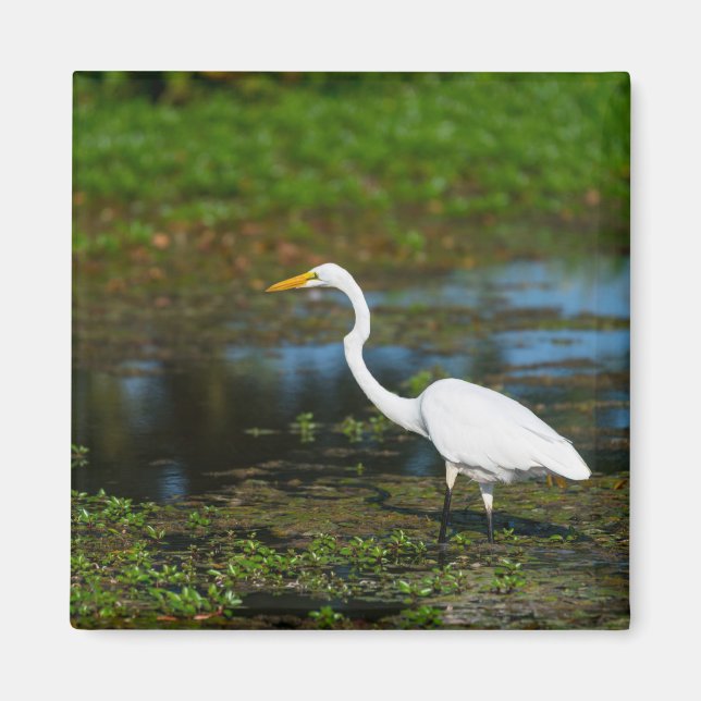 Jäger Egret Magnet (Vorne)